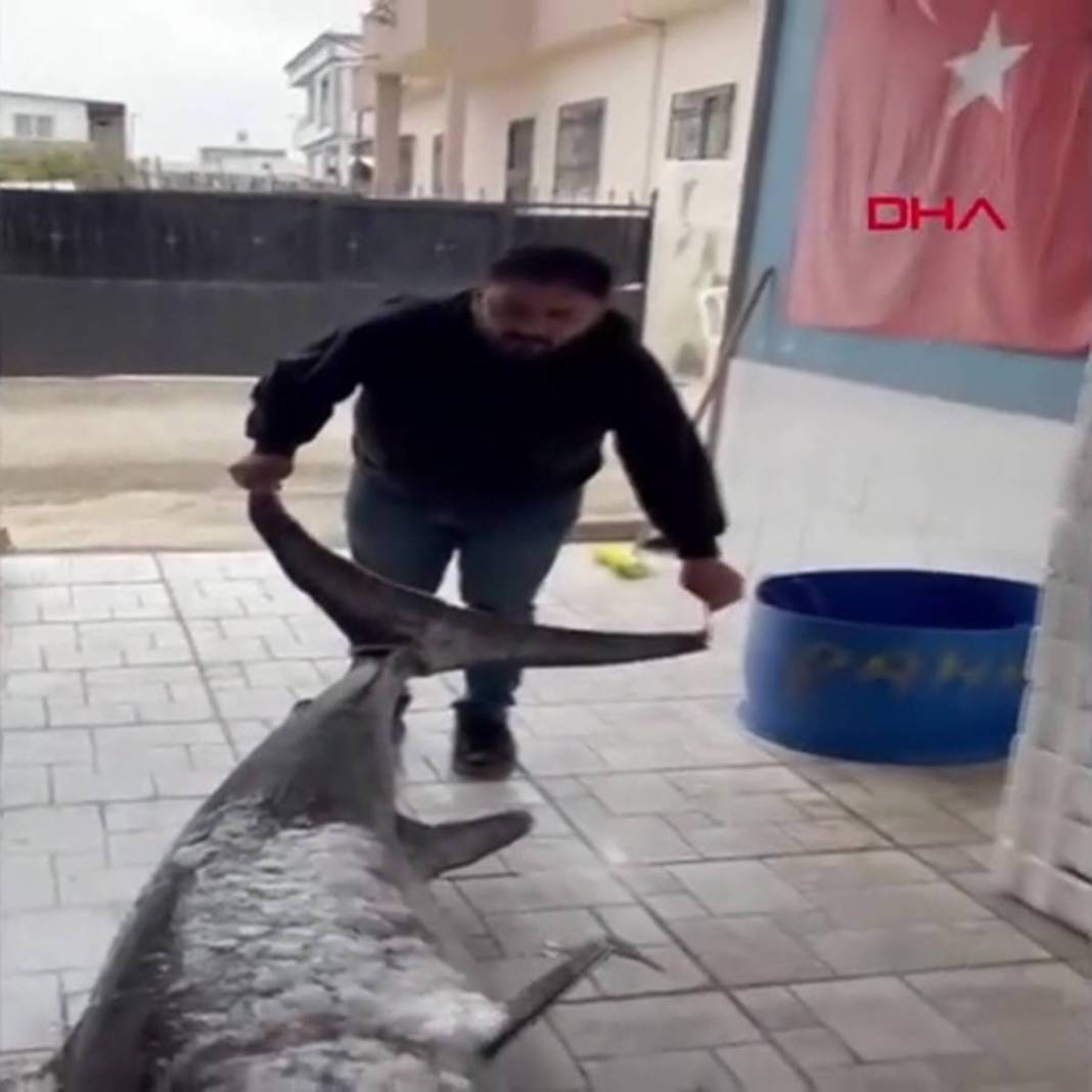 Yakaladıkları 150 kg ağırlığındaki kılıç balığını restorana rekor fiyata sattılar! Görenlerin ağzı açık kaldı 10